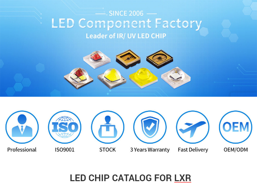 SMD 3528 LED Chip 3528 3020 5050 2835 5730 3030 3014 4014 White 0.06W 0.1W 0.2W 0.5W 1W Light Lamp Bead Diode SMD LED chip