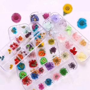 Popular Nail Dried Flower 3D Dry Flowers Stickers Real Dried Flower Nail Art Decoration Tips DIY Manicure Tools