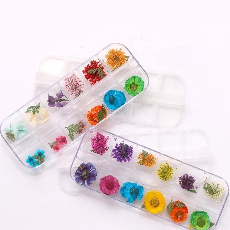 Popular Nail Dried Flower 3D Dry Flowers Stickers Real Dried Flower Nail Art Decoration Tips DIY Manicure Tools