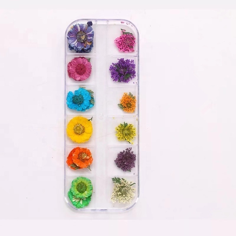 Popular Nail Dried Flower 3D Dry Flowers Stickers Real Dried Flower Nail Art Decoration Tips DIY Manicure Tools