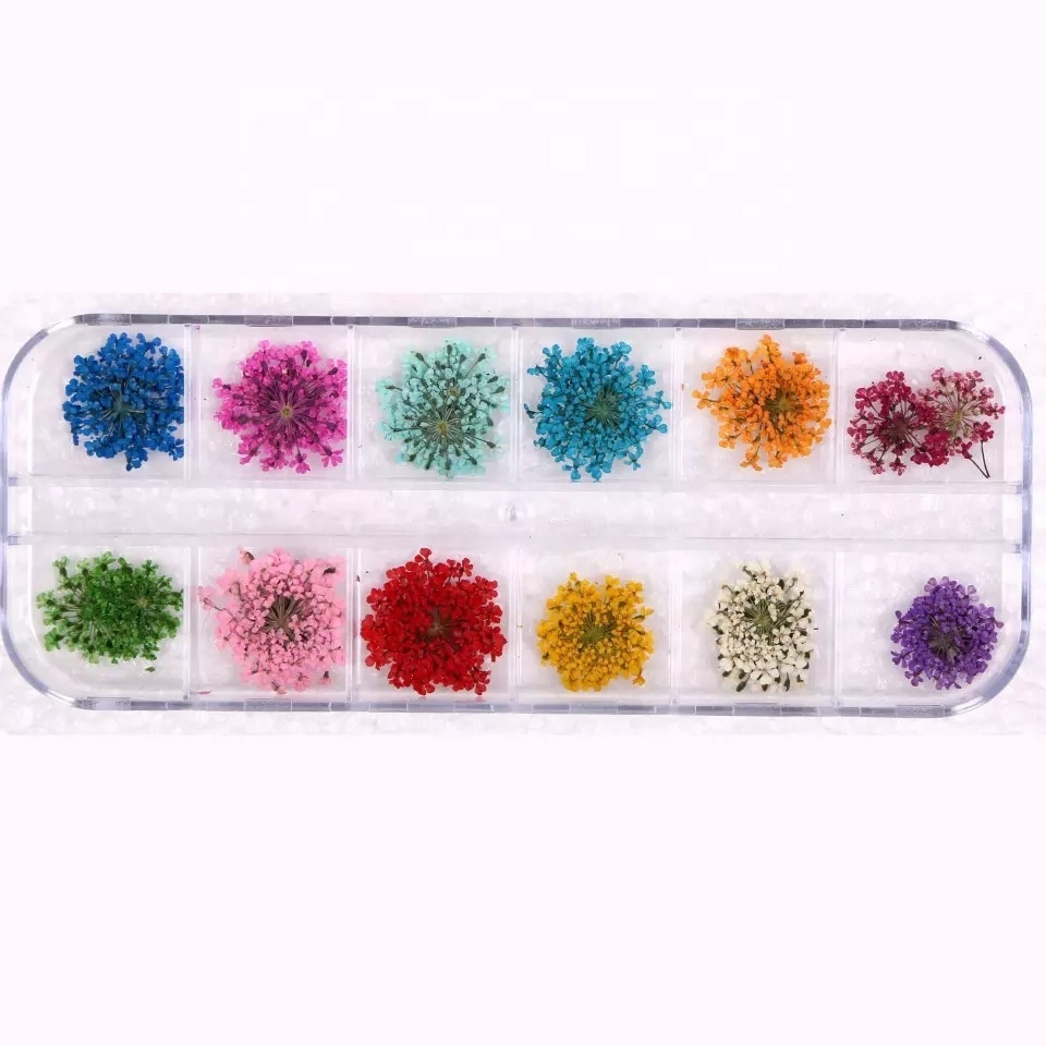 Popular Nail Dried Flower 3D Dry Flowers Stickers Real Dried Flower Nail Art Decoration Tips DIY Manicure Tools