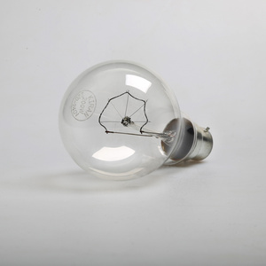 Manufacture  Hot Sale  A58  220V  100W  E27  finished product warehouse lighting incandescent  clear  bulb