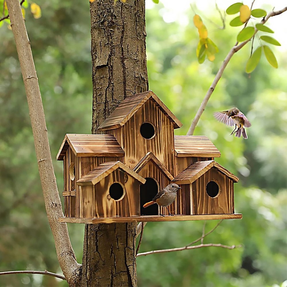 Hot Sale Humming Bird and Insect Houses hanging bird feeders Solid Wood Blackbird Nesting Box Weatherproof Wooden Bird Houses