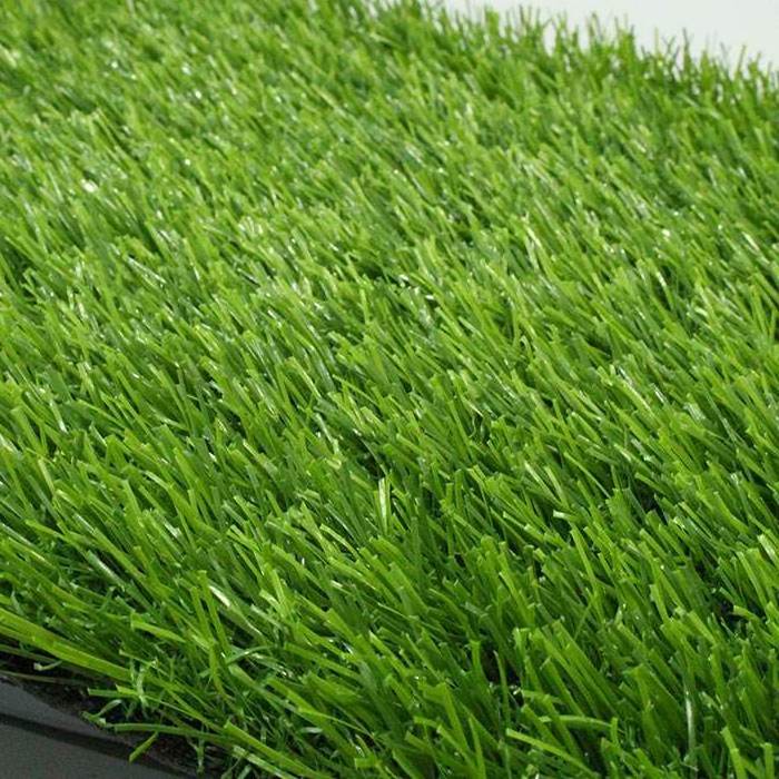 Red Color Artificial Lawn / Turf Artificial Grass For Garden