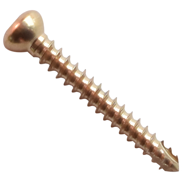 Orthopedic Implants Screws