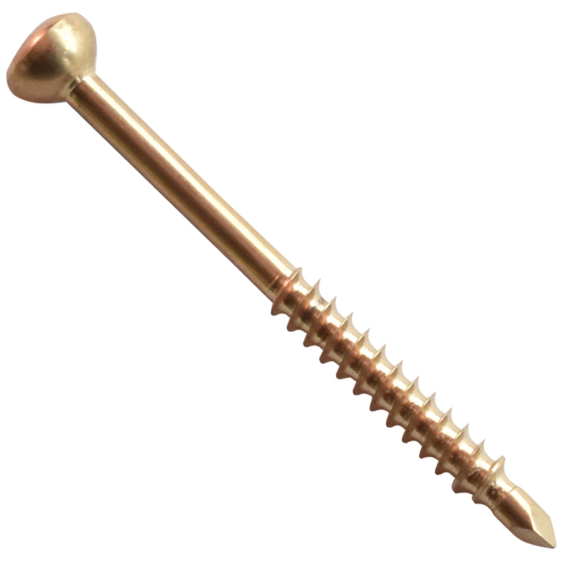 Orthopedic Implants Screws