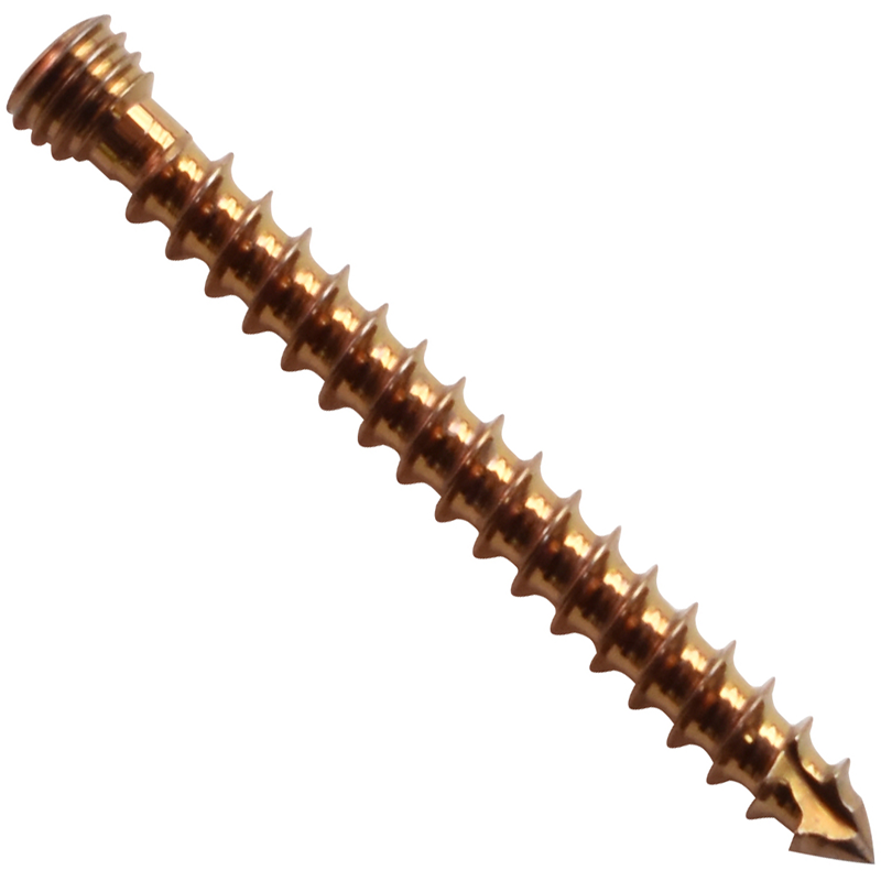 Orthopedic Implants Screws