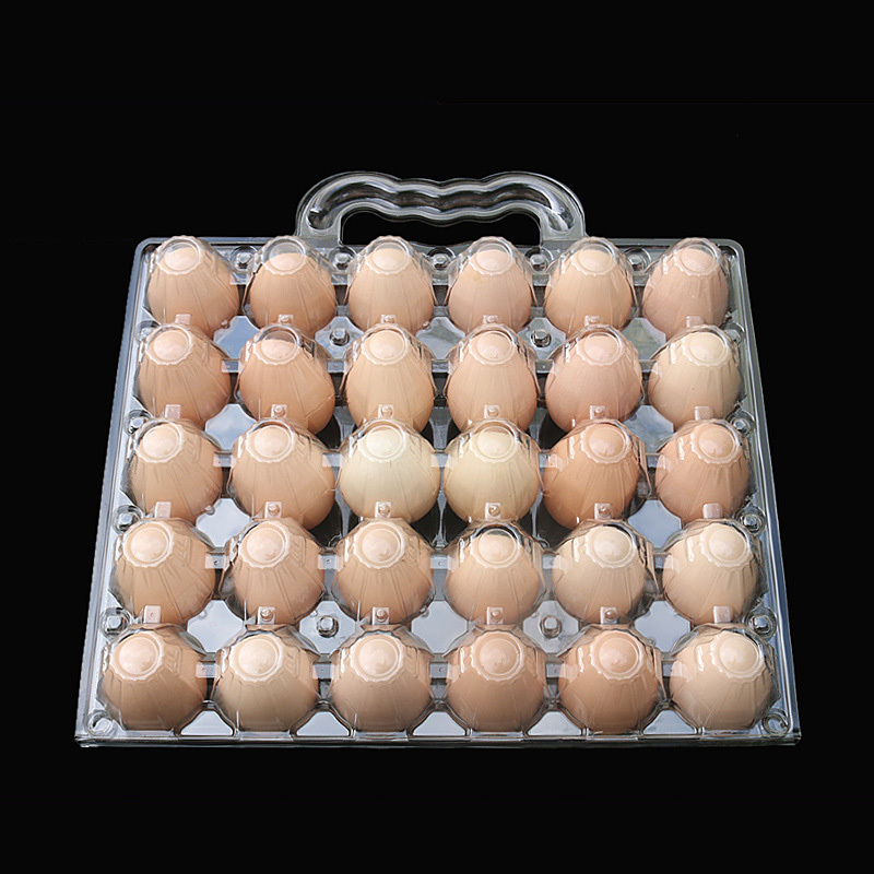 PET Clear Plastic Blister Quail Egg Tray Disposable Packaging with Lid