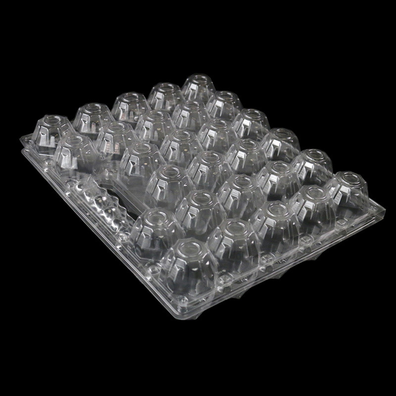 PET Clear Plastic Blister Quail Egg Tray Disposable Packaging with Lid