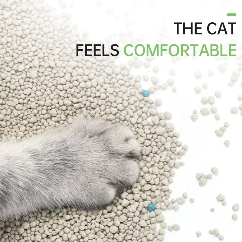 Cheap Premium Non Clumping Deodorizing Bentonite Bulk Cat Litter Wholesale Manufacturer China Pet Supplies Cat Litter