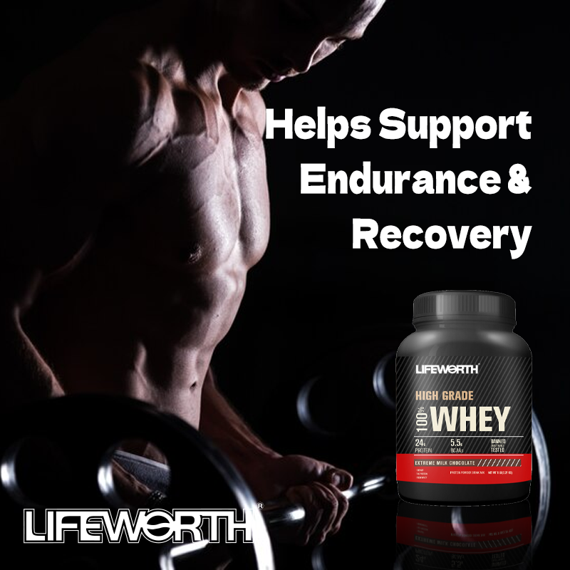 LIFEWORTH wholesale chocolate isolate whey protein isolate hydrolyzate