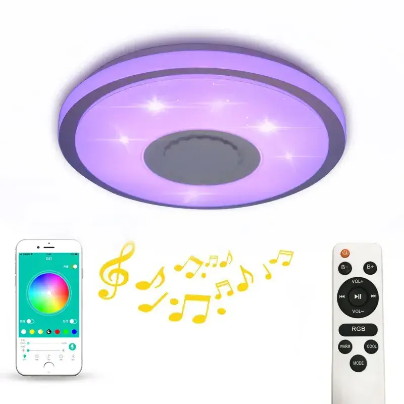 RGB Coolest Voice Activation Smart Light Fixtures Music Dimmable Bluetooth WIFI Fixture Ceiling Light for Bedroom Bathroom