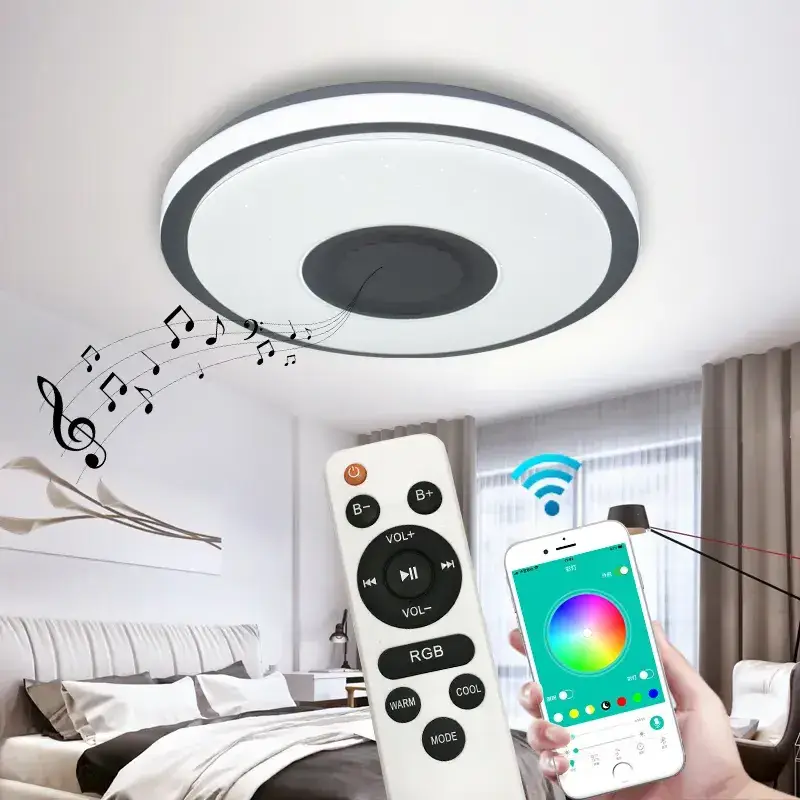 RGB Coolest Voice Activation Smart Light Fixtures Music Dimmable Bluetooth WIFI Fixture Ceiling Light for Bedroom Bathroom