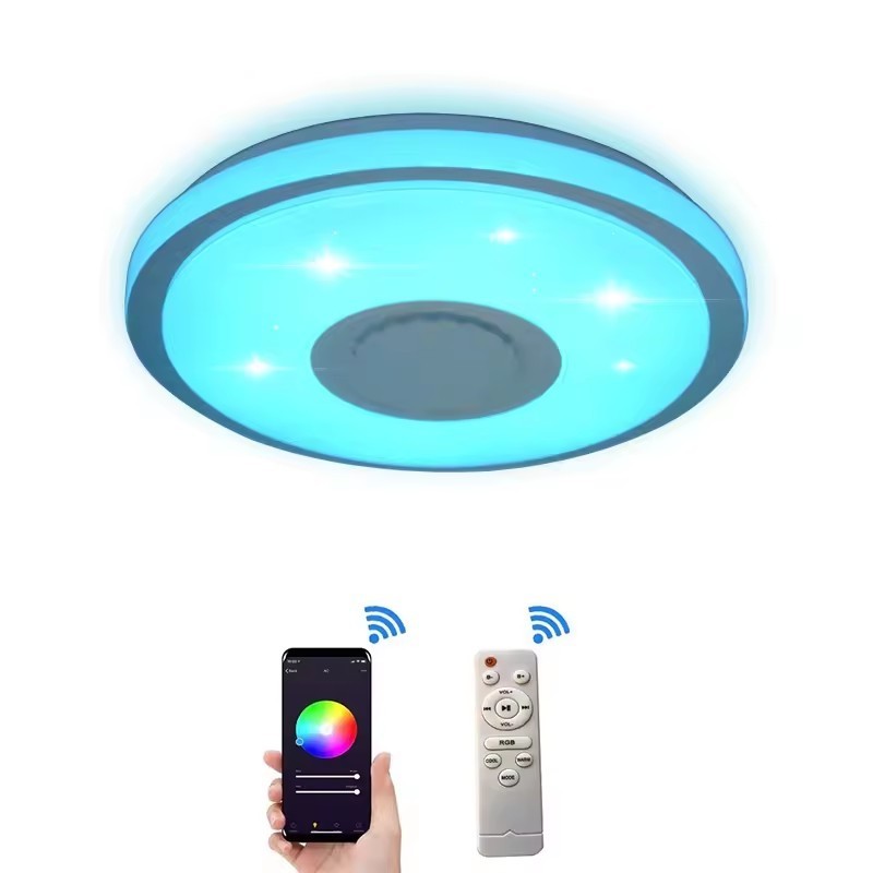 RGB Coolest Voice Activation Smart Light Fixtures Music Dimmable Bluetooth WIFI Fixture Ceiling Light for Bedroom Bathroom