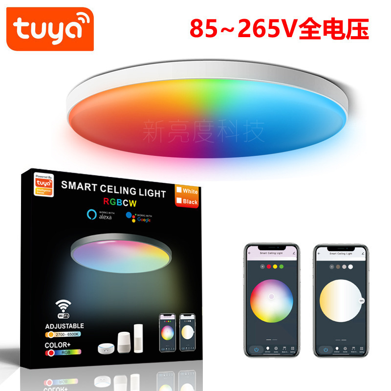 Tuya WIFI Smart Ceiling Light Alexa Google Ultra-thin Simple RGBCW Colorful Bedroom Light