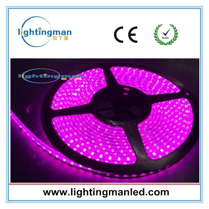 3mm wide smd 3528 micro LED strip