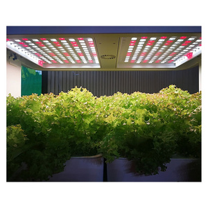 2024 Avatar 120W Automatic Indoor Hydroponic Growing Rack Plant Grow 3 Layer Hydroponics Greenhouse for Leafy Vegetables light