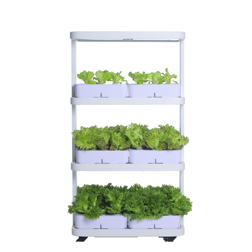 2024 Avatar 120W Automatic Indoor Hydroponic Growing Rack Plant Grow 3 Layer Hydroponics Greenhouse for Leafy Vegetables light