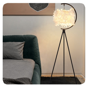 New Factory Supply Modern Standing Feather LED Light Stand Bedroom Living Room Ostrich Feathers Floor Lamp