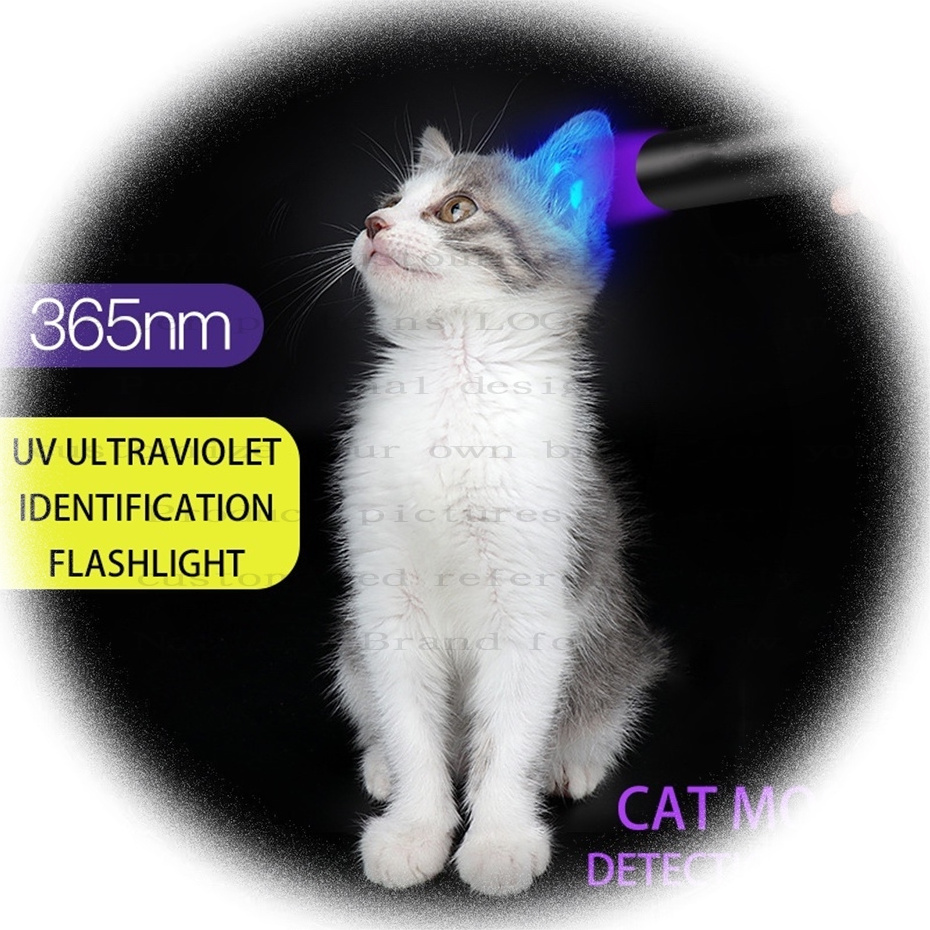 Custom Mini USB Rechargeable Led Flashlight Waterproof Aluminum Alloy 365NM Pet Dog Cat Urine Money UV Detector Purple Light