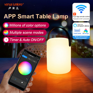 Bluetooth WIFI Tuya APP Voice Control Ambient RGB LED Light Bedroom Living Room Outdoor Hanging Smart Table Lamps and Lanterns