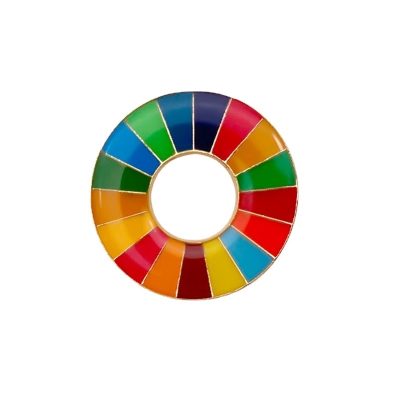 Enamel Sustainable Development Goals Brooch United Nations SDGs Pin Badge Rainbow Pins