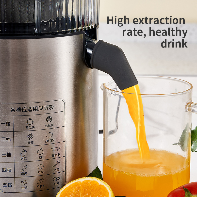 New portable fruit juicer Whole Slow Juicer Machine Tomato Prices Juicer