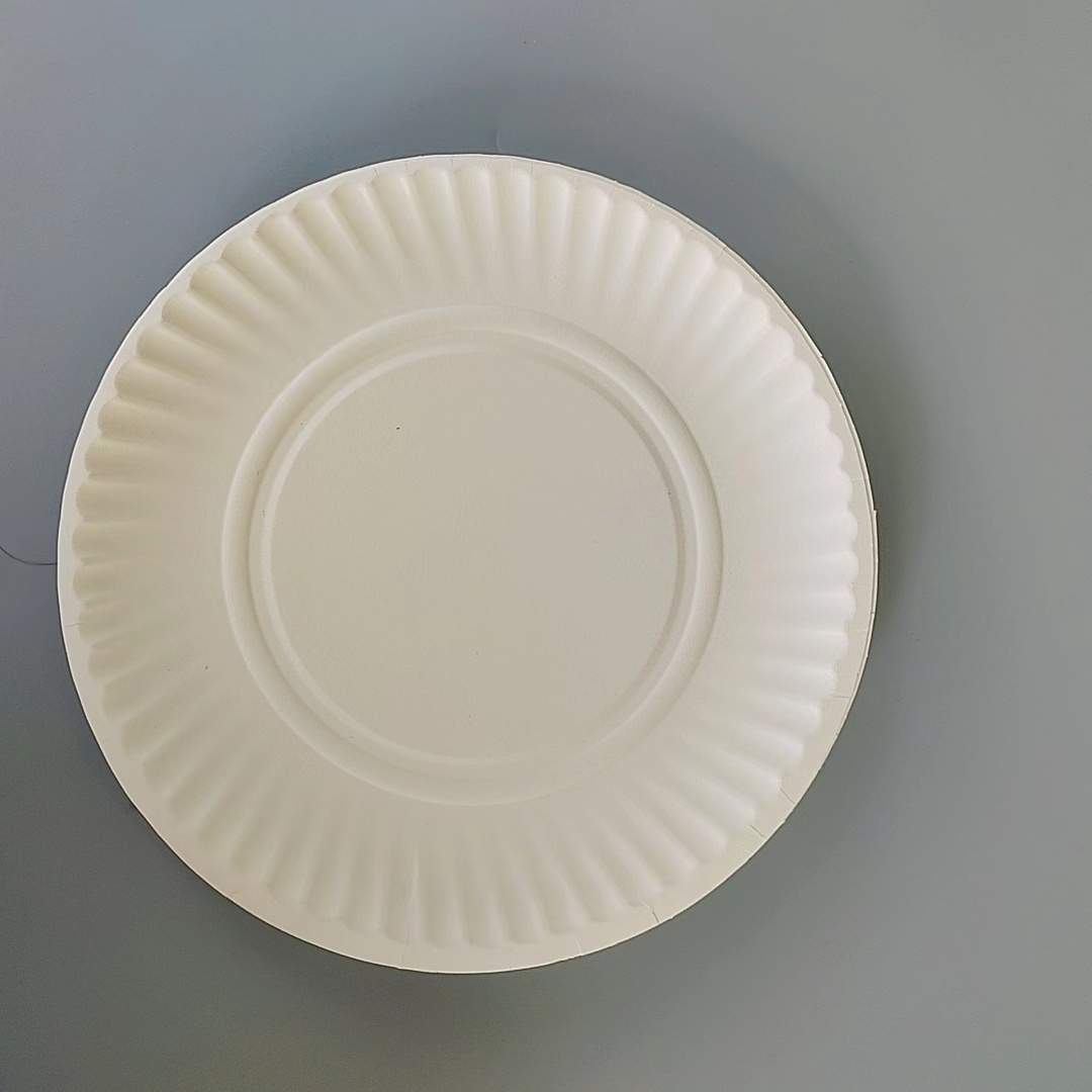 100 Count  Round Disposable 9inch Paper Plates for Dinner, Birthday Party cheap dinner food trays