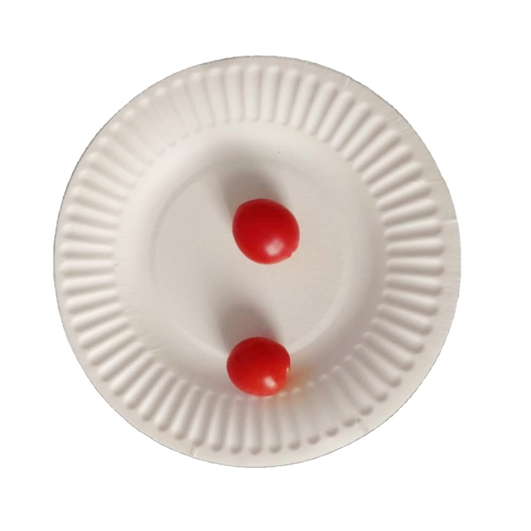 take away paper plate free samples designer dinner disposable food tray paper plates for christmas day