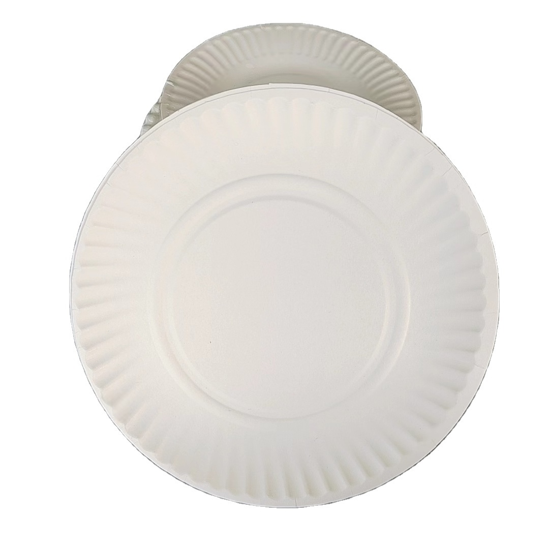 100 Count  Round Disposable 9inch Paper Plates for Dinner, Birthday Party cheap dinner food trays