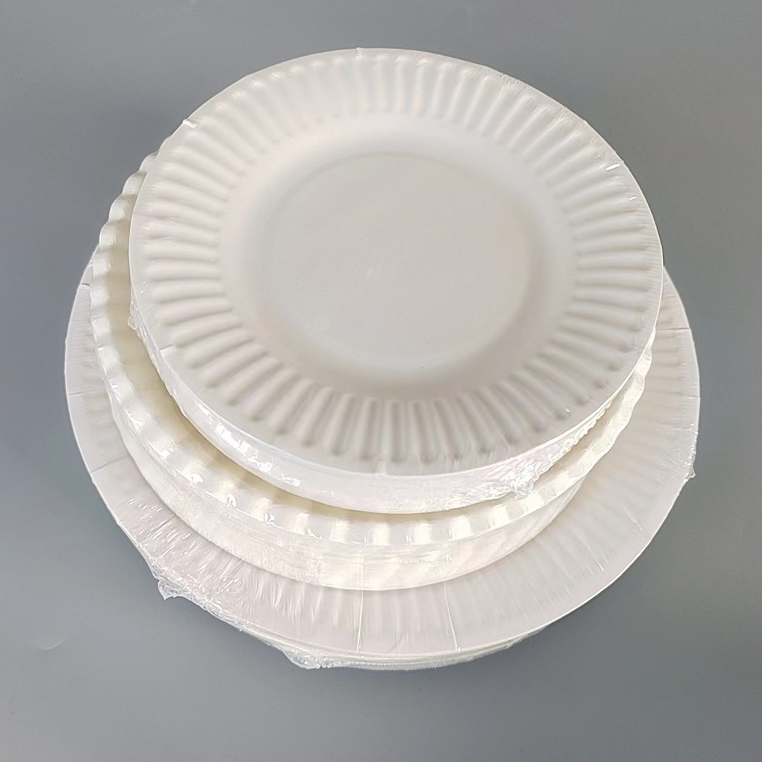 100 Count  Round Disposable 9inch Paper Plates for Dinner, Birthday Party cheap dinner food trays