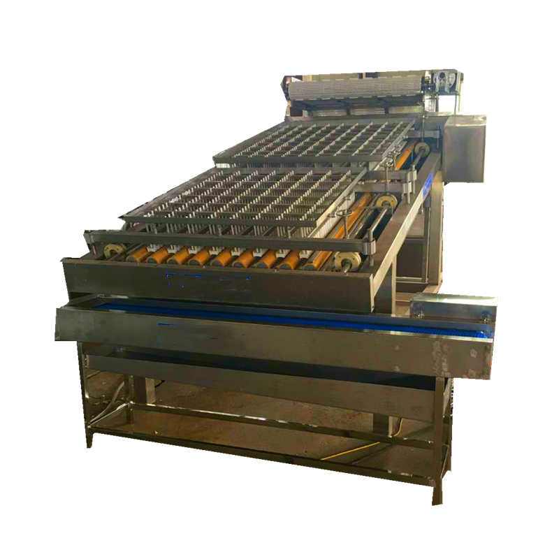 High Quality Low Price Shrimp Skinning Machine / Shrimp Peeling Machine  seafood   Prawns Shrimp Peeling  Processing Equipment