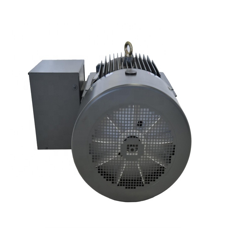 10KW~75KW Induction Switched Reluctance Asynchronous Three-phase Motor Electr Motor Price DYG motor electrico