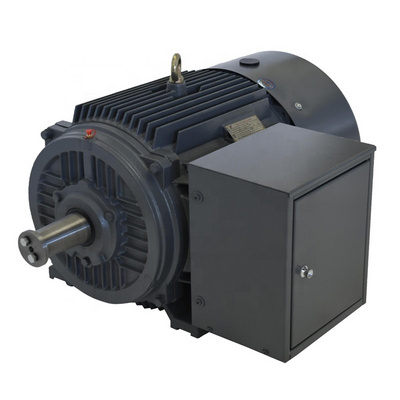 10KW~75KW Induction Switched Reluctance Asynchronous Three-phase Motor Electr Motor Price DYG motor electrico