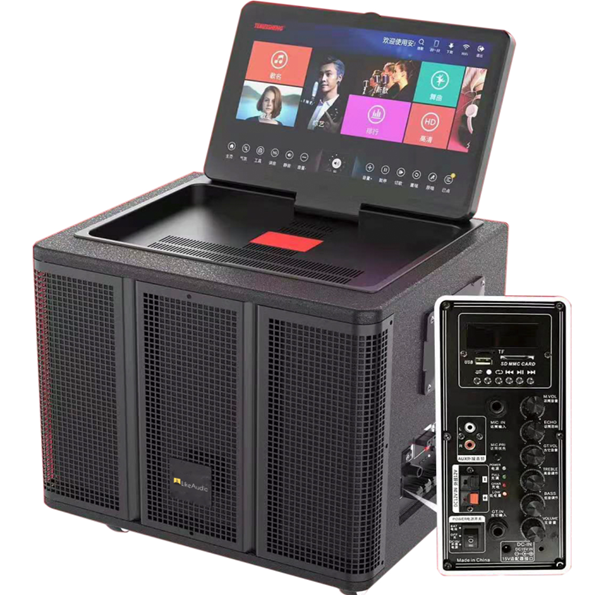 TEMEISHENG BT-812 high quality Built-in VOD system and screen big Karaoke bluetooth Speaker with microphone