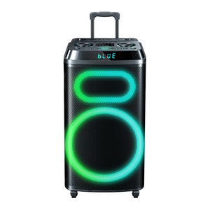 New Listing Temeisheng Fashion Design Portable Speaker 15 Inch Trolley Speaker with Guitar Input 80W Wireless Playing Speaker