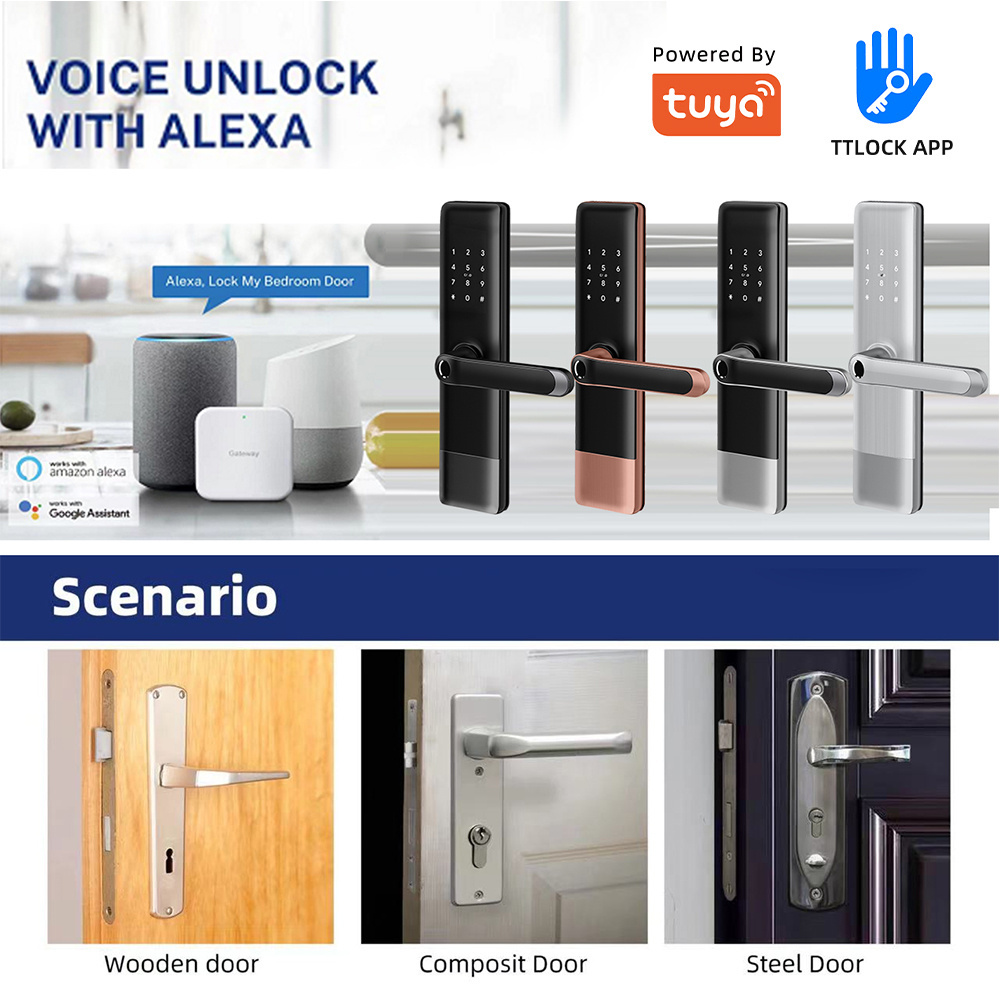 Liliwise Waterproof Outdoor High Security Electric Digital Fingerprint Smart Door Lock With Tuya APP TTLOCK BLE Wifi Mobile Lock