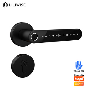 Liliwise Tuya TTLOCK Intelligent Biometric Lock Smart Handle Lock Fingerprint PIN Code Lock with European Cylinder with Rosette