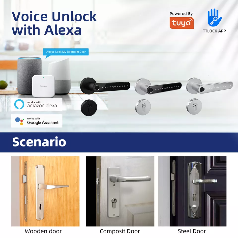 Liliwise TuyaAPP TTlock Door Lock Smart Handle Lock Fingerprint PIN Code Lock with European Cylinder with Rosette