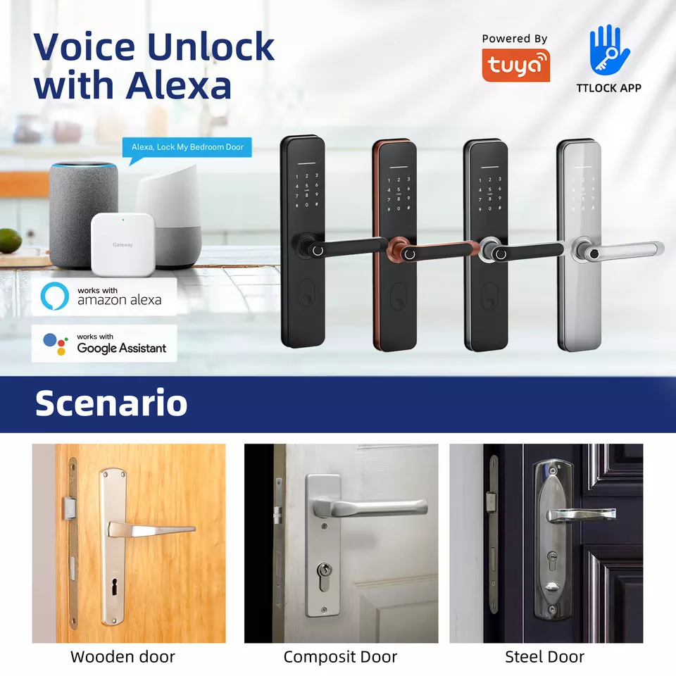 Liliwise Waterproof Outdoor motorized door lock TTLOCK BLE Mobile Tuya APP Lock  Fingerprint Door Lock with Remote Control