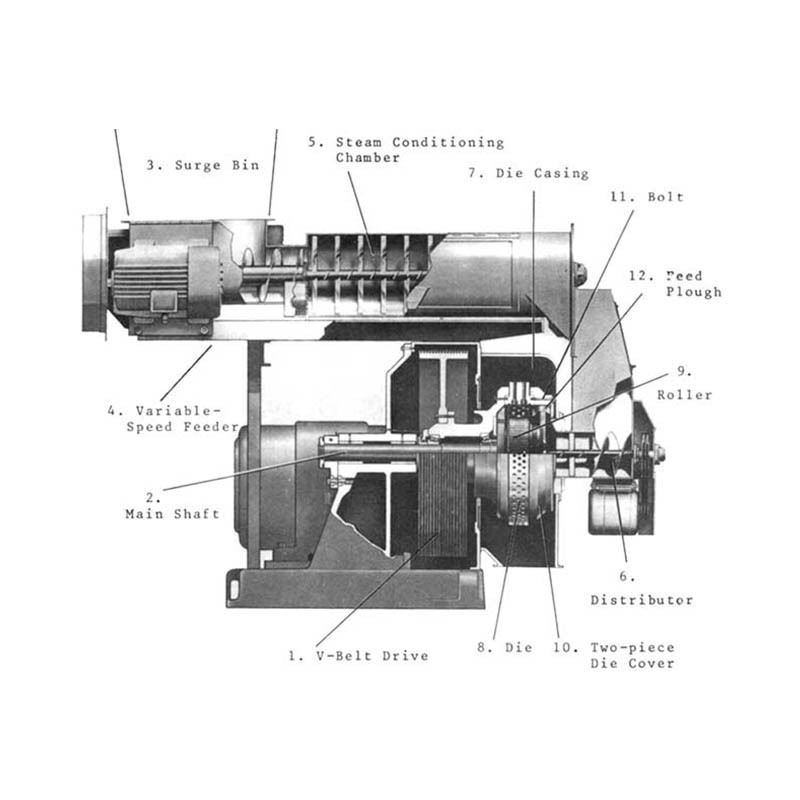 Animal Feed Machinery In Kenya For Animal Feeds Ring Die Vertical Ring Die Cattle/Pig/ Chicken Feed Pellet Making Machine Cost