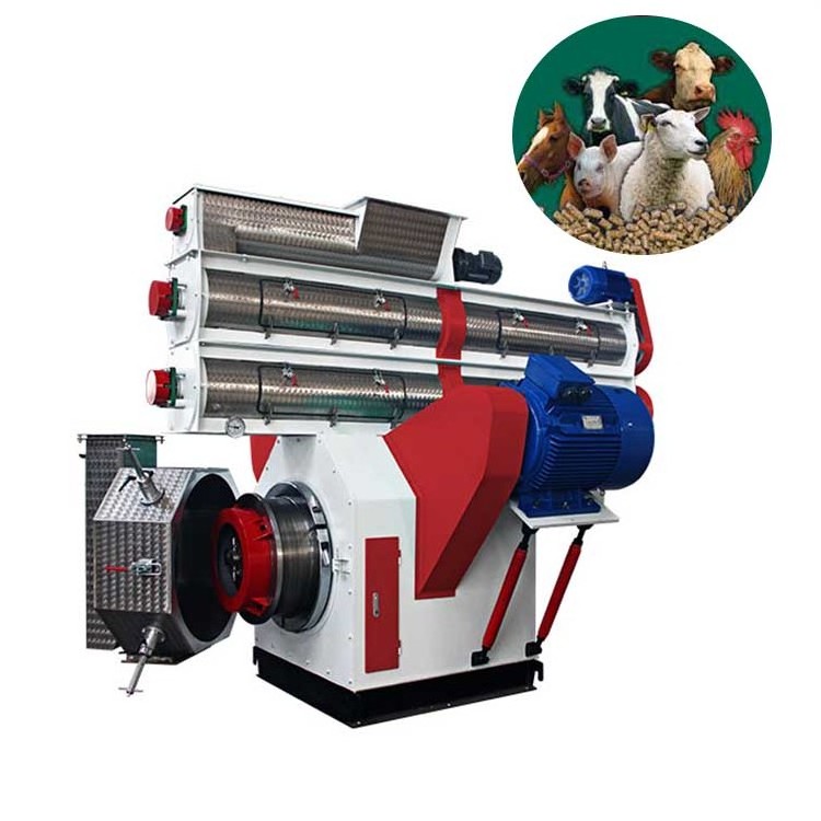 Animal Feed Machinery In Kenya For Animal Feeds Ring Die Vertical Ring Die Cattle/Pig/ Chicken Feed Pellet Making Machine Cost