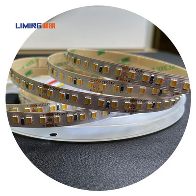 2835 CCT LED Strip 120eds/m CW/WW Dual White Color Temperature Adjustable Flexible Tape 5m 12V/24V Double Color