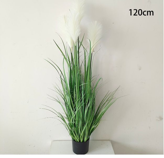 Evergreen factory INS window landscaping artificial onion grass fake green plants