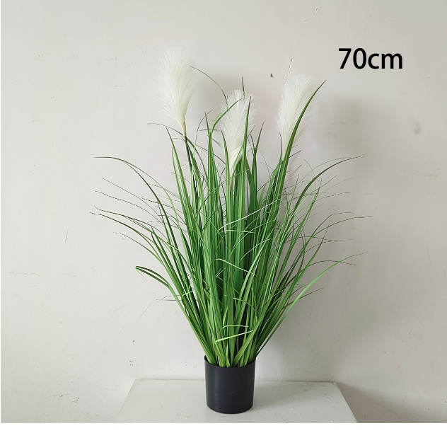 Evergreen factory INS window landscaping artificial onion grass fake green plants