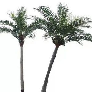 large artificial fake king coconut palm plants tree