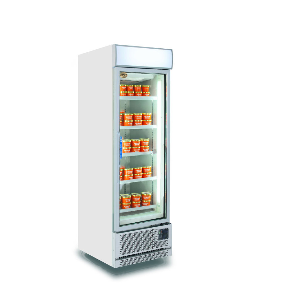 Low Temperature Glass Door Display Equipment Chicken Meat Cold Storage Freezer Milk Bar Ice Cream Display Refrigerator