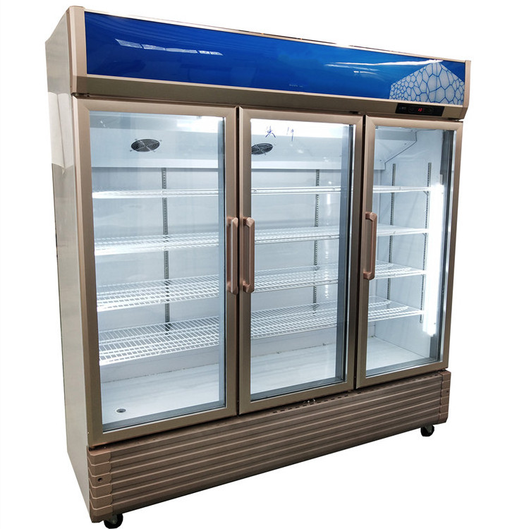 Vertical freezer upright showcase display pepsi fridge