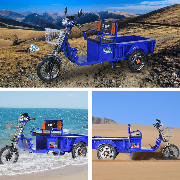 Super Bright Headlights Electric Cago Pedicab 650w 800w Adult 3 Wheels Blue Cargo Electric Tricycles