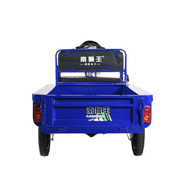 Super Bright Headlights Electric Cago Pedicab 650w 800w Adult 3 Wheels Blue Cargo Electric Tricycles